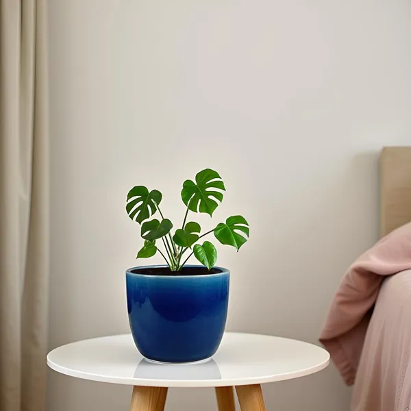 Avani_6D_Blue_0_Ceramic_Pots_For_Indoor_Plants,_Planters,Gamla,Outdoor,Balcony,Home,Round,Garden,_Office_Decor,Succulent(H_-_13_X_D_-_15.5_Cm)