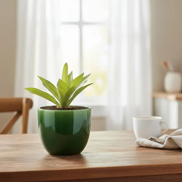Avani_4.5D_Green_Ht5_Ceramic_Pots_For_Indoor_Plants,_Planters,Gamla,Outdoor,Balcony,Home,Round,Garden,_Office_Decor,Succulent(H_-_9_X_D_-_11.5_Cm)