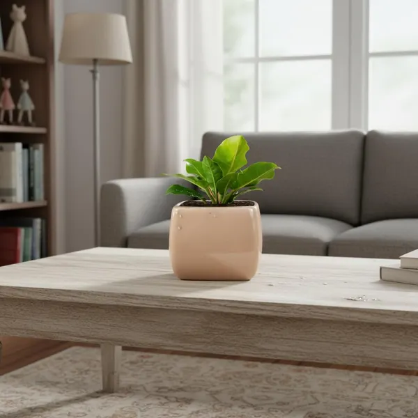 Nebi_Peach_5_Ceramic_Pots_For_Indoor_Plants,_Planters,Gamla,Outdoor,Balcony,Home,Round,Garden,_Office_Decor,Succulent(L-9.5_X_W-9.5_X_H_-_8_Cm)