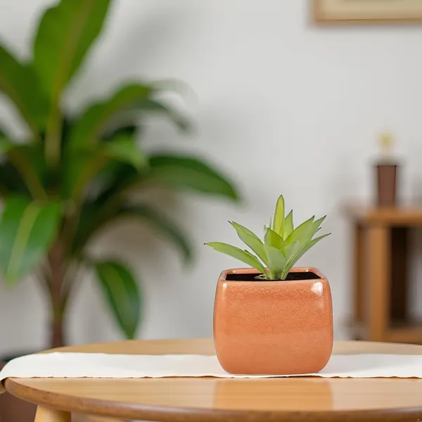 Nebi_Terracotta_6_Ceramic_Pots_For_Indoor_Plants,_Planters,Gamla,Outdoor,Balcony,Home,Round,Garden,_Office_Decor,Succulent(L-9.5_X_W-9.5_X_H_-_8_Cm)