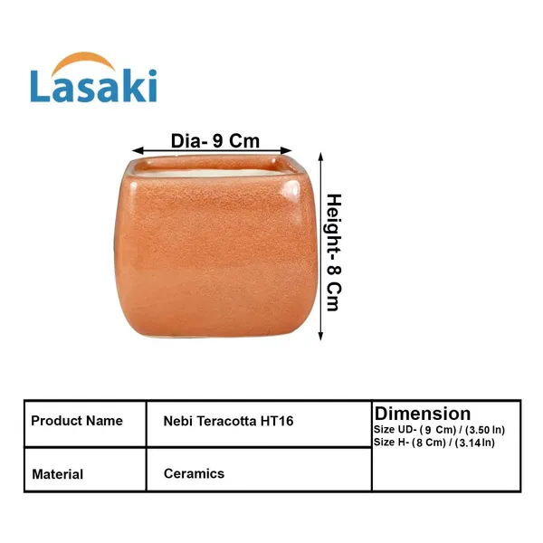 Nebi_Terracotta_6_Ceramic_Pots_For_Indoor_Plants,_Planters,Gamla,Outdoor,Balcony,Home,Round,Garden,_Office_Decor,Succulent(L-9.5_X_W-9.5_X_H_-_8_Cm)
