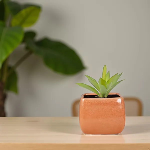 Nebi_Terracotta_6_Ceramic_Pots_For_Indoor_Plants,_Planters,Gamla,Outdoor,Balcony,Home,Round,Garden,_Office_Decor,Succulent(L-9.5_X_W-9.5_X_H_-_8_Cm)