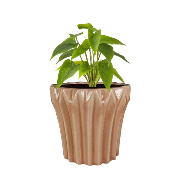 Flory_Peach_5_Ceramic_Pots_For_Indoor_Plants,_Planters,Gamla,Outdoor,Balcony,Home,Round,Garden,_Office_Decor,Succulent(H_-_14_X_D_-_15_Cm)