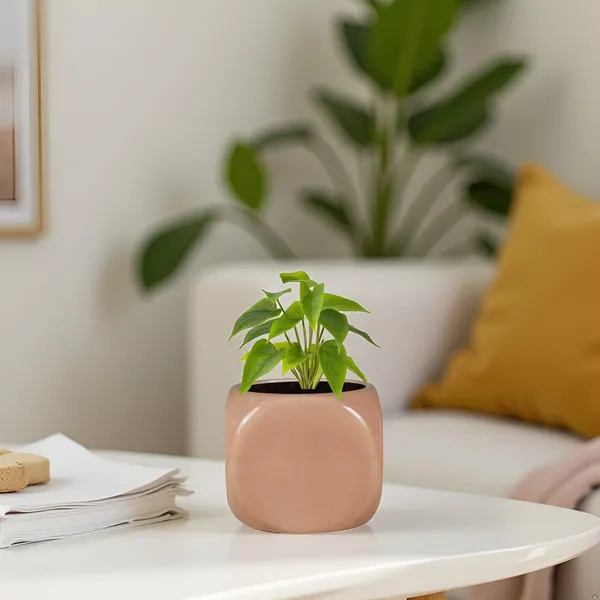 Aero_Peach_5_Ceramic_Pots_For_Indoor_Plants,_Planters,Gamla,Outdoor,Balcony,Home,Round,Garden,_Office_Decor,Succulent(L-9_X_W-9_X_H_-_9_Cm)
