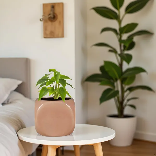 Aero_Peach_5_Ceramic_Pots_For_Indoor_Plants,_Planters,Gamla,Outdoor,Balcony,Home,Round,Garden,_Office_Decor,Succulent(L-9_X_W-9_X_H_-_9_Cm)