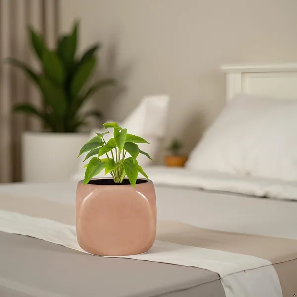 Aero_Peach_5_Ceramic_Pots_For_Indoor_Plants,_Planters,Gamla,Outdoor,Balcony,Home,Round,Garden,_Office_Decor,Succulent(L-9_X_W-9_X_H_-_9_Cm)