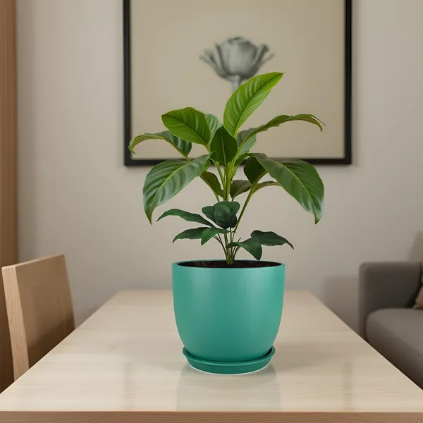 Avani_5D_Deep_Jungle_With_Plate_R4_Deep_Jungle_Ceramic_Pots_For_Indoor_Plants,Planters,Flower,Gamla,Outdoor(Pot-D-13_X_H-11Cm,Plate-D-13_Xh-2_Cm)