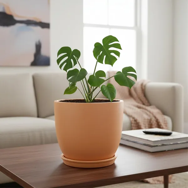Avani_5D_Ginger_With_Plate_R4_Ginger_Ceramic_Pots_For_Indoor_Plants,Planters,Flower,Gamla,Outdoor(Pot-D-13_X_H-11Cm,Plate-D-13_Xh-2_Cm)