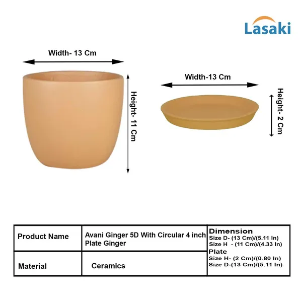 Avani_5D_Ginger_With_Plate_R4_Ginger_Ceramic_Pots_For_Indoor_Plants,Planters,Flower,Gamla,Outdoor(Pot-D-13_X_H-11Cm,Plate-D-13_Xh-2_Cm)