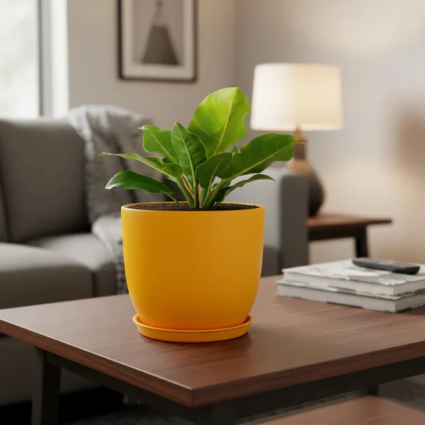 Avani_5D_Lily_With_Plate_R4_Lily_Ceramic_Pots_For_Indoor_Plants,Planters,Flower,Gamla,Outdoor(Pot-D-13_X_H-11Cm,Plate-D-13_Xh-2_Cm)