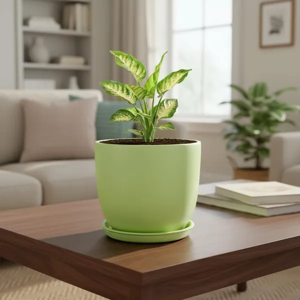 Avani_5D_Mint_With_Plate_R4_Mint_Ceramic_Pots_For_Indoor_Plants,Planters,Flower,Gamla,Outdoor(Pot-D-13_X_H-11Cm,Plate-D-13_Xh-2_Cm)