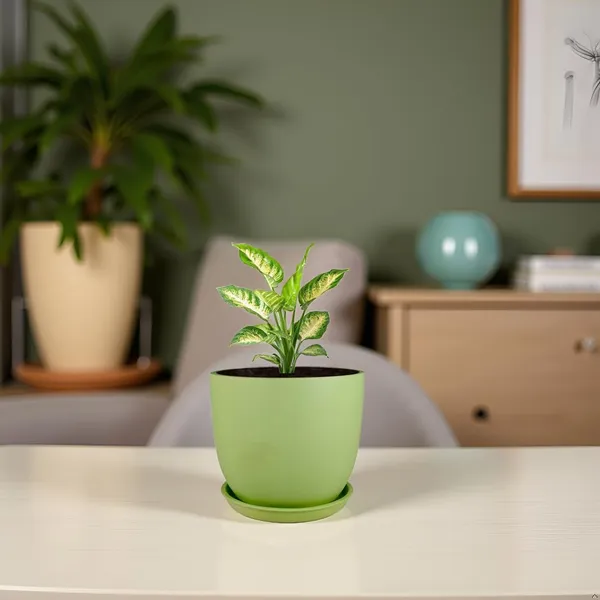 Avani_5D_Mint_With_Plate_R4_Mint_Ceramic_Pots_For_Indoor_Plants,Planters,Flower,Gamla,Outdoor(Pot-D-13_X_H-11Cm,Plate-D-13_Xh-2_Cm)