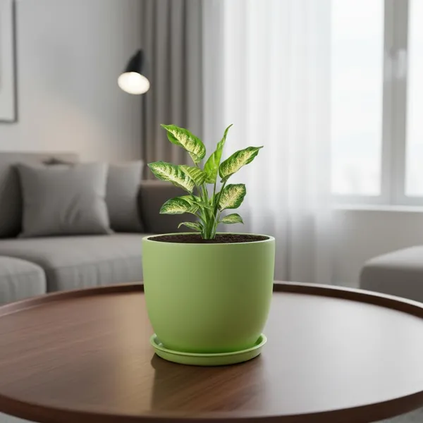 Avani_5D_Mint_With_Plate_R4_Mint_Ceramic_Pots_For_Indoor_Plants,Planters,Flower,Gamla,Outdoor(Pot-D-13_X_H-11Cm,Plate-D-13_Xh-2_Cm)