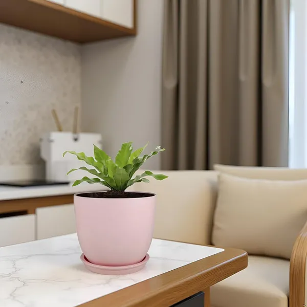 Avani_5D_Pink_With_Plate_R4_Pink_Ceramic_Pots_For_Indoor_Plants,Planters,Flower,Gamla,Outdoor(Pot-D-13_X_H-11Cm,Plate-D-13_Xh-2_Cm)