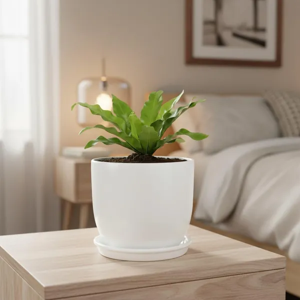 Avani_5D_White_With_Plate_R4_White_Ceramic_Pots_For_Indoor_Plants,Planters,Flower,Gamla,Outdoor(Pot-D-13_X_H-11Cm,Plate-D-13_Xh-2_Cm)