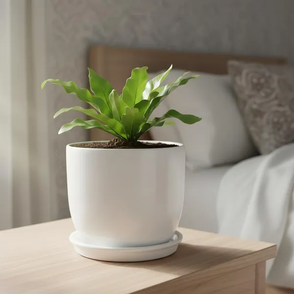 Avani_5D_White_With_Plate_R4_White_Ceramic_Pots_For_Indoor_Plants,Planters,Flower,Gamla,Outdoor(Pot-D-13_X_H-11Cm,Plate-D-13_Xh-2_Cm)