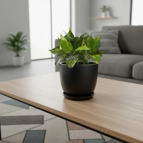 Avani_5D_Black_Gold_With_Plate_R4_Black_Ceramic_Pots_For_Indoor_Plants,Planters,Flower,Gamla,Outdoor(Pot-D-13_X_H-11Cm,Plate-D-13_Xh-2_Cm)