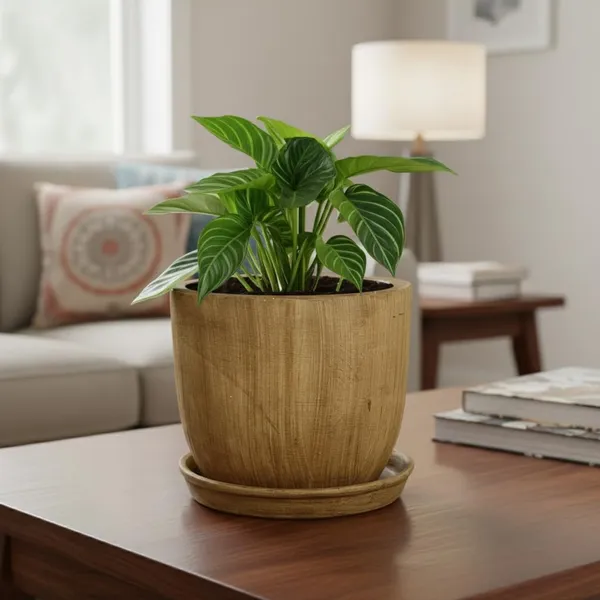 Avani_6D_Antique_With_Plate_R4_Antique_Ceramic_Pots_For_Indoor_Plants,Planters,Flower,Gamla,Outdoor(Pot-D-15.5_X_H-13Cm,Plate-D-13_Xh-2_Cm)