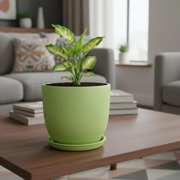 Avani_6D_Mint_With_Plate_R4_Mint_Ceramic_Pots_For_Indoor_Plants,Planters,Flower,Gamla,Outdoor(Pot-D-15.5_X_H-13Cm,Plate-D-13_Xh-2_Cm)