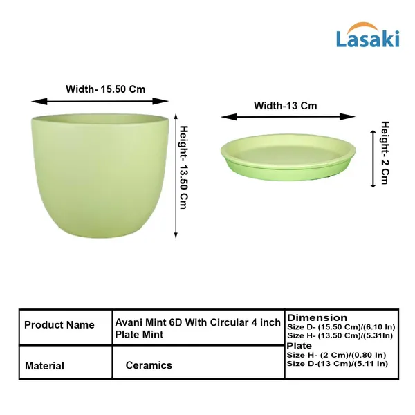 Avani_6D_Mint_With_Plate_R4_Mint_Ceramic_Pots_For_Indoor_Plants,Planters,Flower,Gamla,Outdoor(Pot-D-15.5_X_H-13Cm,Plate-D-13_Xh-2_Cm)