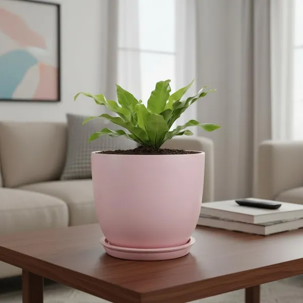 Avani_6D_Pink_With_Plate_R4_Pink_Ceramic_Pots_For_Indoor_Plants,Planters,Flower,Gamla,Outdoor(Pot-D-15.5_X_H-13Cm,Plate-D-13_Xh-2_Cm)