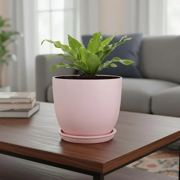 Avani_6D_Pink_With_Plate_R4_Pink_Ceramic_Pots_For_Indoor_Plants,Planters,Flower,Gamla,Outdoor(Pot-D-15.5_X_H-13Cm,Plate-D-13_Xh-2_Cm)