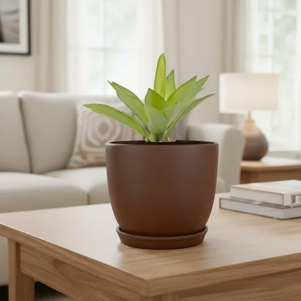 Avani_6D_Truffle_With_Plate_R4_Truffle_Ceramic_Pots_For_Indoor_Plants,Planters,Flower,Gamla,Outdoor(Pot-D-15.5_X_H-13Cm,Plate-D-13_Xh-2_Cm)