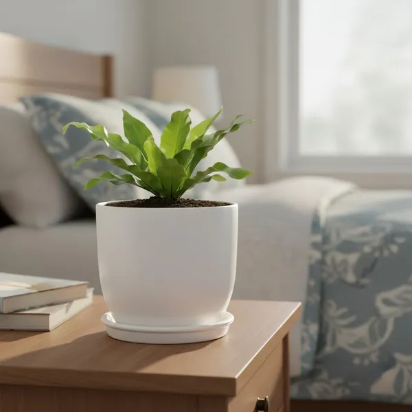 Avani_6D_White_With_Plate_R4_White_Ceramic_Pots_For_Indoor_Plants,Planters,Flower,Gamla,Outdoor(Pot-D-15.5_X_H-13Cm,Plate-D-13_Xh-2_Cm)