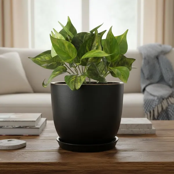 Avani_6D_Black_Gold_With_Plate_R4_Black_Ceramic_Pots_For_Indoor_Plants,Planters,Flower,Gamla,Outdoor(Pot-D-15.5_X_H-13Cm,Plate-D-13_Xh-2_Cm)