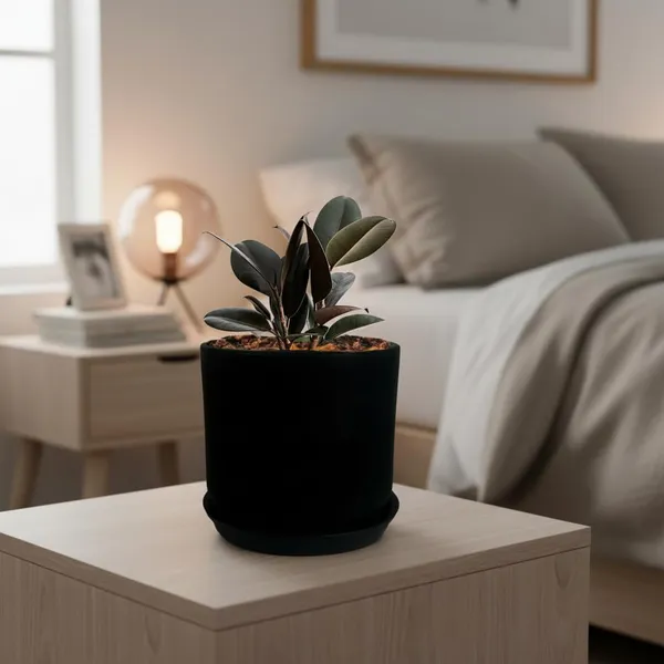Orin_6D_Black_With_Plate_R5_Black_Ceramic_Pots_For_Indoor_Plants,Planters,Flower,Gamla,Outdoor(Pot-D-15.5_X_H-13.5Cm,Plate-D-15_Xh-2_Cm)