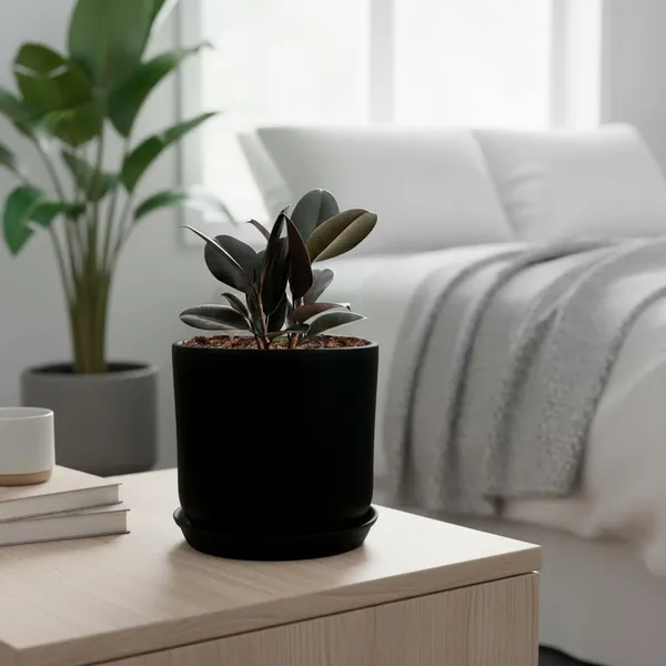 Orin_6D_Black_With_Plate_R5_Black_Ceramic_Pots_For_Indoor_Plants,Planters,Flower,Gamla,Outdoor(Pot-D-15.5_X_H-13.5Cm,Plate-D-15_Xh-2_Cm)