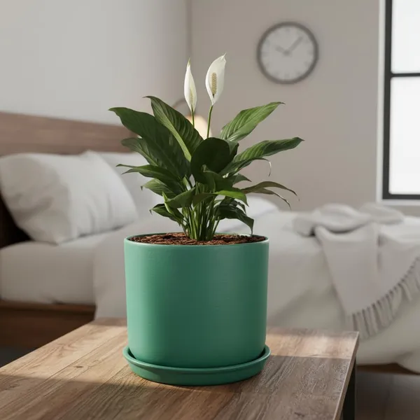 Orin_6D_Deep_Jungle_With_Plate_R5_Deep_Jungle_Ceramic_Pots_For_Indoor_Plants,Planters,Flower,Gamla,Outdoor(Pot-D-15.5_X_H-13.5Cm,Plate-D-15_Xh-2_Cm)