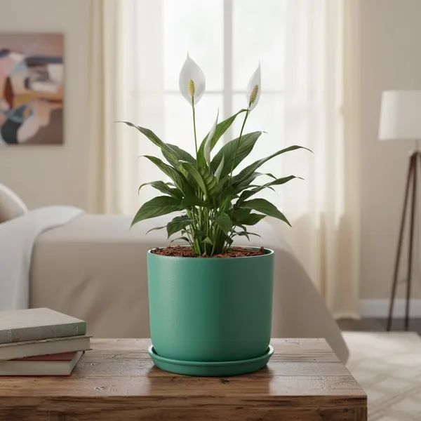 Orin_6D_Deep_Jungle_With_Plate_R5_Deep_Jungle_Ceramic_Pots_For_Indoor_Plants,Planters,Flower,Gamla,Outdoor(Pot-D-15.5_X_H-13.5Cm,Plate-D-15_Xh-2_Cm)
