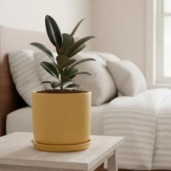 Orin_6D_Ginger_With_Plate_R5_Ginger_Ceramic_Pots_For_Indoor_Plants,Planters,Flower,Gamla,Outdoor(Pot-D-15.5_X_H-13.5Cm,Plate-D-15_Xh-2_Cm)