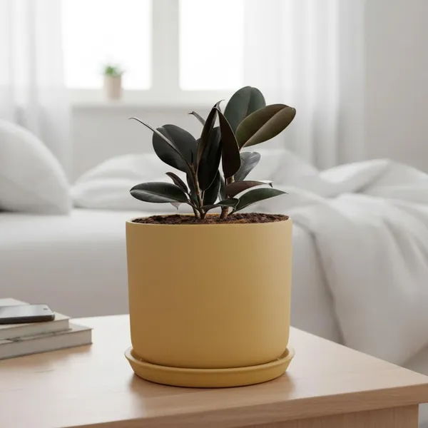 Orin_6D_Ginger_With_Plate_R5_Ginger_Ceramic_Pots_For_Indoor_Plants,Planters,Flower,Gamla,Outdoor(Pot-D-15.5_X_H-13.5Cm,Plate-D-15_Xh-2_Cm)