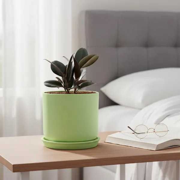 Orin_6D_Mint_With_Plate_R5_Mint_Ceramic_Pots_For_Indoor_Plants,Planters,Flower,Gamla,Outdoor(Pot-D-15.5_X_H-13.5Cm,Plate-D-15_Xh-2_Cm)