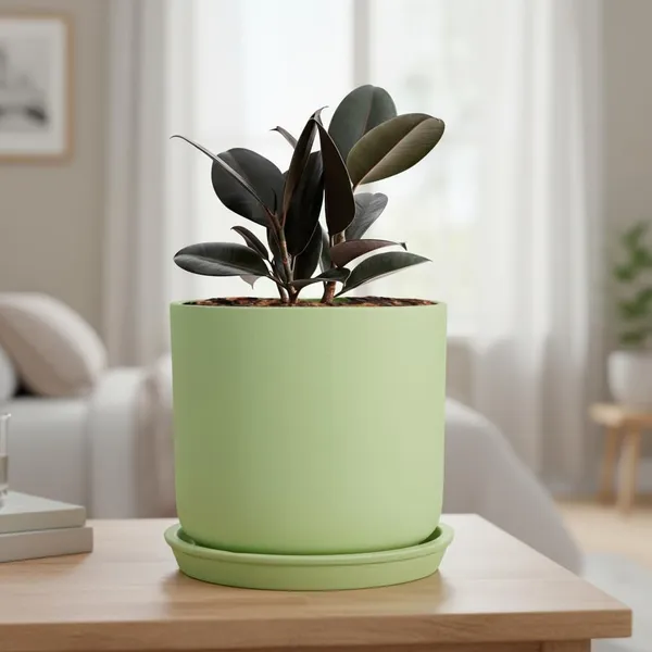 Orin_6D_Mint_With_Plate_R5_Mint_Ceramic_Pots_For_Indoor_Plants,Planters,Flower,Gamla,Outdoor(Pot-D-15.5_X_H-13.5Cm,Plate-D-15_Xh-2_Cm)