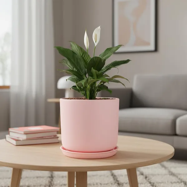 Orin_6D_Pink_With_Plate_R5_Pink_Ceramic_Pots_For_Indoor_Plants,Planters,Flower,Gamla,Outdoor(Pot-D-15.5_X_H-13.5Cm,Plate-D-15_Xh-2_Cm)