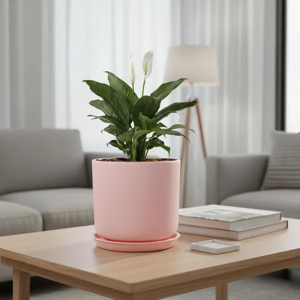 Orin_6D_Pink_With_Plate_R5_Pink_Ceramic_Pots_For_Indoor_Plants,Planters,Flower,Gamla,Outdoor(Pot-D-15.5_X_H-13.5Cm,Plate-D-15_Xh-2_Cm)