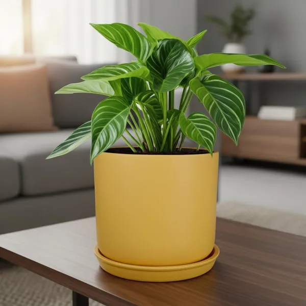 Orin_6D_Saffron_With_Plate_R5_Saffron_Ceramic_Pots_For_Indoor_Plants,Planters,Flower,Gamla,Outdoor(Pot-D-15.5_X_H-13.5Cm,Plate-D-15_Xh-2_Cm)