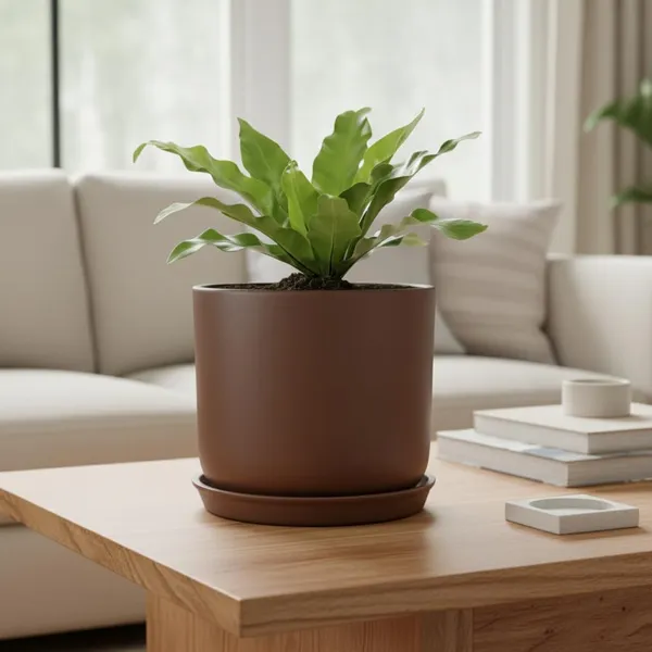 Orin_6D_Truffle_With_Plate_R5_Truffle_Ceramic_Pots_For_Indoor_Plants,Planters,Flower,Gamla,Outdoor(Pot-D-15.5_X_H-13.5Cm,Plate-D-15_Xh-2_Cm)