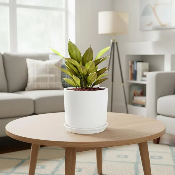 Orin_6D_White_With_Plate_R5_White_Ceramic_Pots_For_Indoor_Plants,Planters,Flower,Gamla,Outdoor(Pot-D-15.5_X_H-13.5Cm,Plate-D-15_Xh-2_Cm)