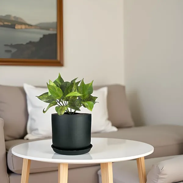 Orin_6D_Black_Gold_With_Plate_R5_Black_Ceramic_Pots_For_Indoor_Plants,Planters,Flower,Gamla,Outdoor(Pot-D-15.5_X_H-13.5Cm,Plate-D-15_Xh-2_Cm)