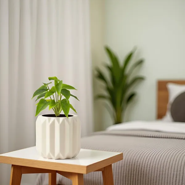 Kavira_Ivory_Ht25_Ceramic_Pots_For_Indoor_Plants,_Planters,Gamla,Outdoor,Balcony,Home,Round,Garden,_Office_Decor,Succulent(H_-_11_X_D_-_12_Cm)