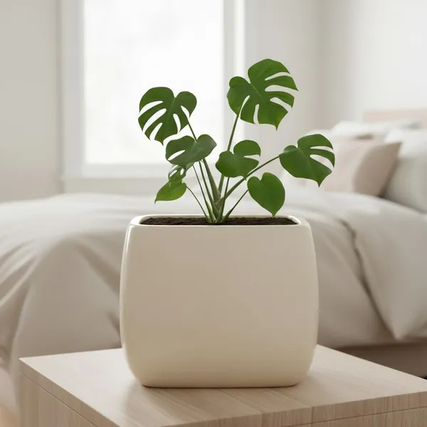 Nebi_Ivory_Ht25_Ceramic_Pots_For_Indoor_Plants,_Planters,Gamla,Outdoor,Balcony,Home,Round,Garden,_Office_Decor,Succulent(L-9.5_X_W-9.5_X_H_-_8_Cm)