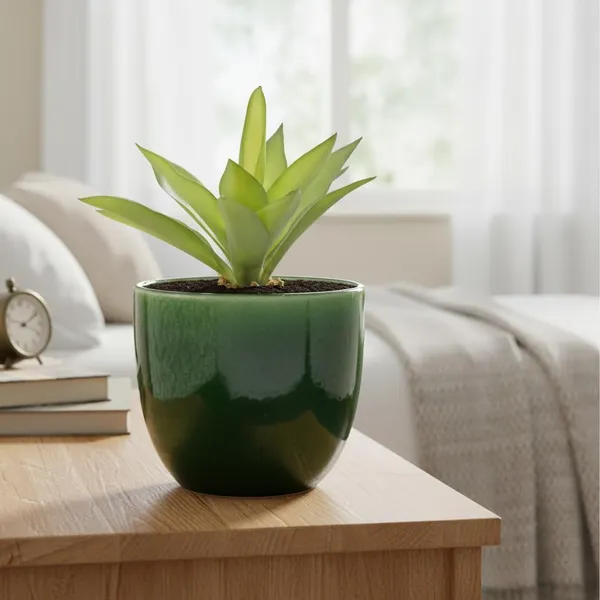Avani_5D_Green_Ht5_Ceramic_Pots_For_Indoor_Plants,_Planters,Gamla,Outdoor,Balcony,Home,Round,Garden,_Office_Decor,Succulent(H_-_11_X_D_-_13_Cm)