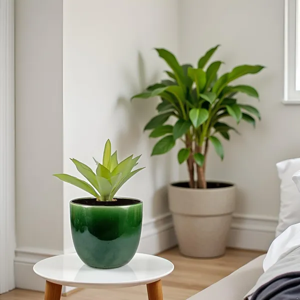 Avani_5D_Green_Ht5_Ceramic_Pots_For_Indoor_Plants,_Planters,Gamla,Outdoor,Balcony,Home,Round,Garden,_Office_Decor,Succulent(H_-_11_X_D_-_13_Cm)