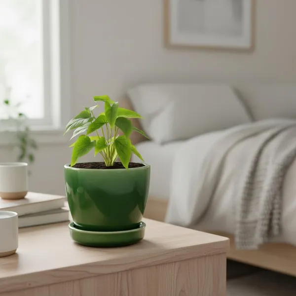 Core_With_Plate_Green_Ht5_Ceramic_Pots_For_Indoor_Plants,Planters,Flower,Gamla,Outdoor(Pot-D-9.5_X_H-8.5Cm,Plate-D-9.5_Xh-1.5_Cm)
