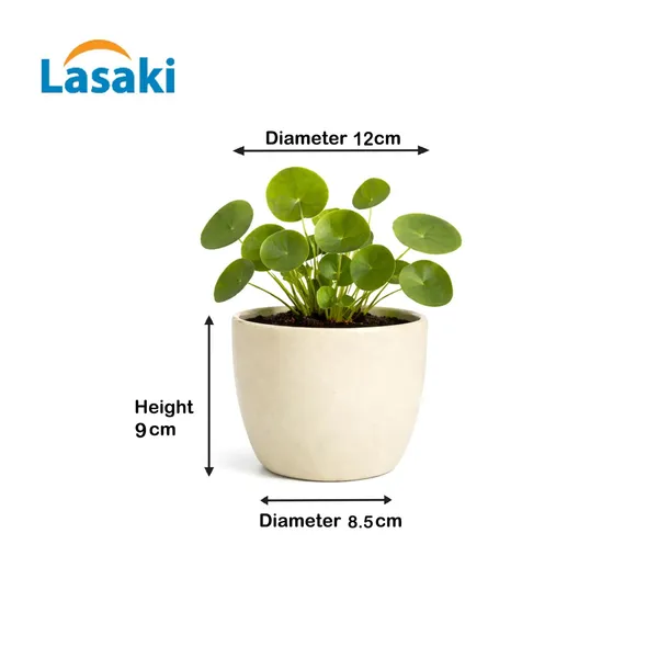 Lasaki_Avani_4.5d_ivory_HT25_Ceramic_Pots_for_Indoor_Plants,_Planters,gamla,Outdoor,Balcony,Home,Round,Garden,_Office_Decor,Succulent(H_-_9_X_D_-_11.5_cm)(Plants_not_included)