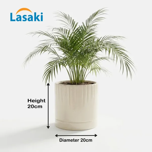 Lasaki_Morvo_ivory_HT25_Ceramic_Pots_for_Indoor_Plants,_Planters,gamla,Outdoor,Balcony,Home,Round,Garden,_Office_Decor,Succulent(H_-_20_X_D_-_20_cm)(Plants_not_included)